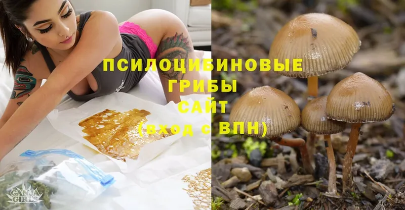 Псилоцибиновые грибы Magic Shrooms  omg   Чаплыгин  цена  